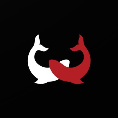 WhalesBet avatar